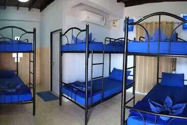 פנסיון Asia Blue   Beach Hostel Hacienda   Bed In 4 Bed Dormitory Room