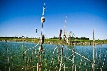 Golf Hotel Lisia Polana