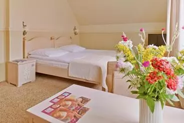 ホテル Afrodyta Spa & Wellness Resort