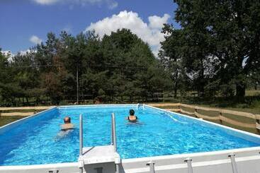 Отель Agroturystyka Pod Modrzewiami