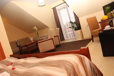 בית מלון כפרי łokietek