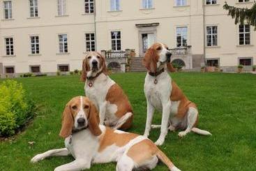 ホテル Pałac Nakomiady