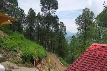 リゾートホテル Shiv Forest Villas