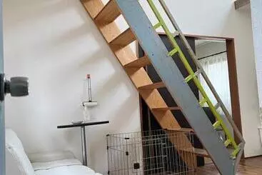 ペンション Casa Allegra