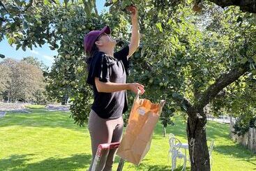 Halmstad Gårdshotell