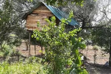 ホテル Habarana Eco Treehouse