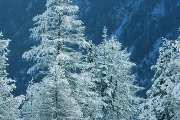 Bed & Breakfast Gästehaus Riml