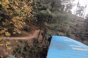 Kapselihotelli Him Aaranya Home Stay Shimla