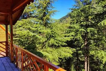 ホテル Mid Conifer Resort And Cottages