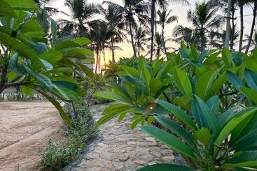 Nocleg ze śniadaniem Sunset And Palm Trees   An Airport Boutique By The Sea