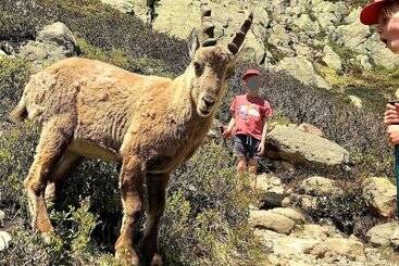 هتل آپارتمان Calme Nature Ski à Vallorcine Mont Blanc