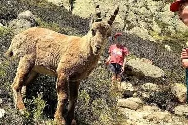 هتل آپارتمان Calme Nature Ski à Vallorcine Mont Blanc