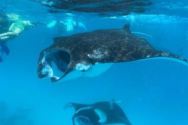 هتل Chak’z 1964 Beach