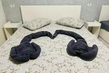 ペンション Casa Bucuriei