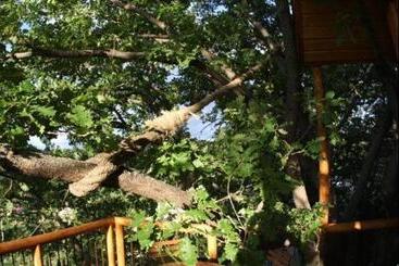 ベッドアンドブレックファースト Les Cabanes En Provence