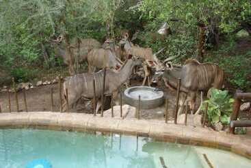 קוטג'' Marloth Kruger Accommodation