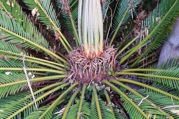 דירה Six Valk Avenue Guest House