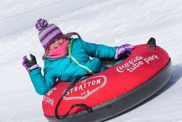 ツーリストアパートメント Vantage Point Villas At Stratton Mountain Resort