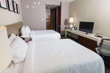 Hotel Hilton Garden Inn Tampa Suncoast Parkway