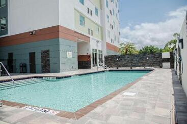 ホテル Hilton Garden Inn Tampa Suncoast Parkway