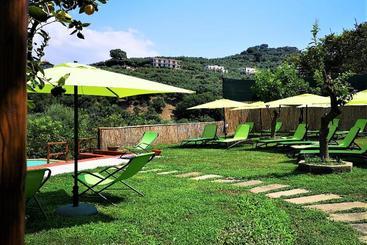 Отель Villa Rosmary