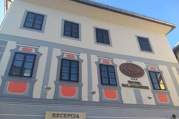 ホテル Salamander