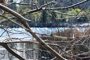 Отель The White House On Freedom Way