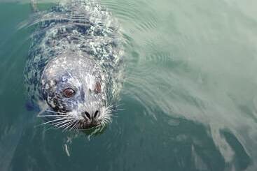 ホテル A Float Home B&b In Fisherman’s Wharf