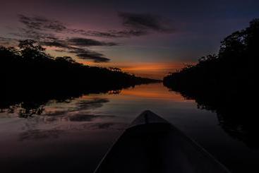 ホテル El Icaco Tortuguero