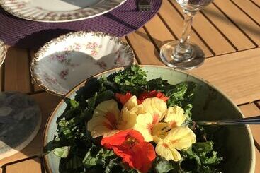 Hotel Golden Pathways Retreat And B&b