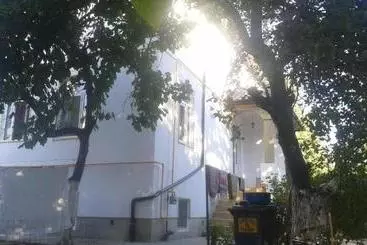 Alfredo Hostel