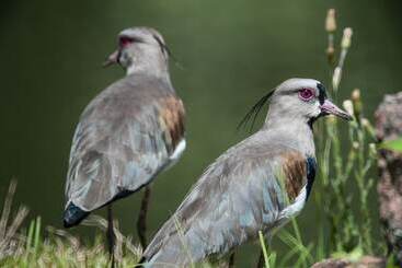 Hotel Paraiso Eco Lodge