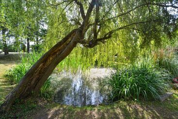 Logis Hotel Restaurant La Mire