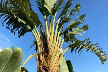 צימר Villa Mercedes Bord De Mer