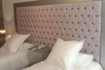 酒店 Hôtel Les Deux Lions