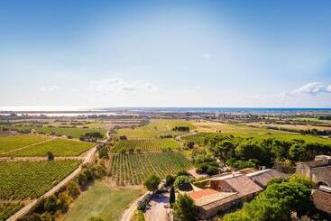 Bed and Breakfast Château Le Bouïs