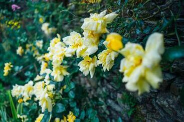 Bed and Breakfast Le 14 St Michel