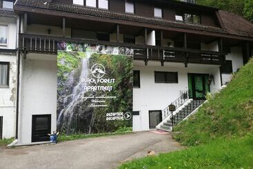 Hotel Black Forest Family Apartment Zum Letzten G Stehr