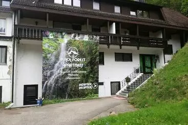 Hotelli Black Forest Family Apartment Zum Letzten G Stehr