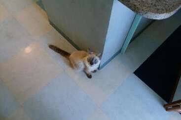 ペンション Guest House Sea Glass