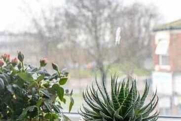 فندق Burren London