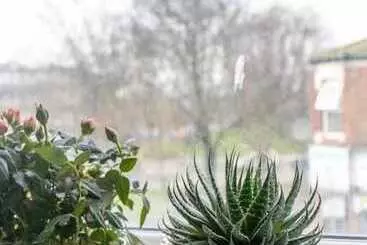 Hotelli Burren London