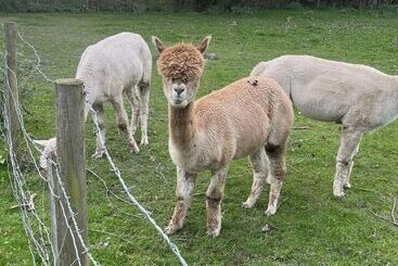 Immaculate 2 Bed Lodge In Harrogate