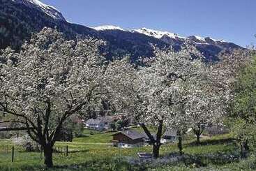 酒店 Residence Rose