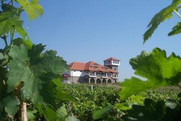 Popova Kula Hotel & Winery