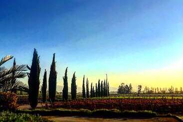 هتل Viña La Playa