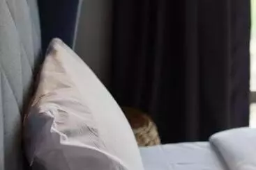 Aparthotel Cube 8teens By Nest Home