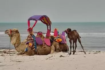 Majatalo Dar El Kahina Djerba