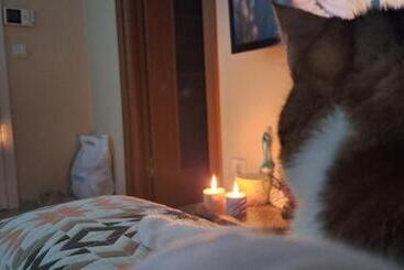 Bed and Breakfast Clarion Hotel Yan