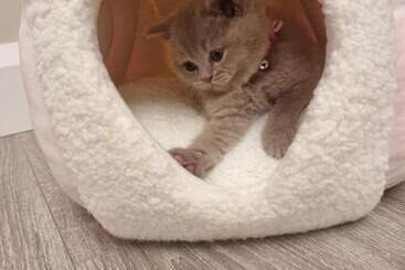 호텔 53 Luxury Rooms